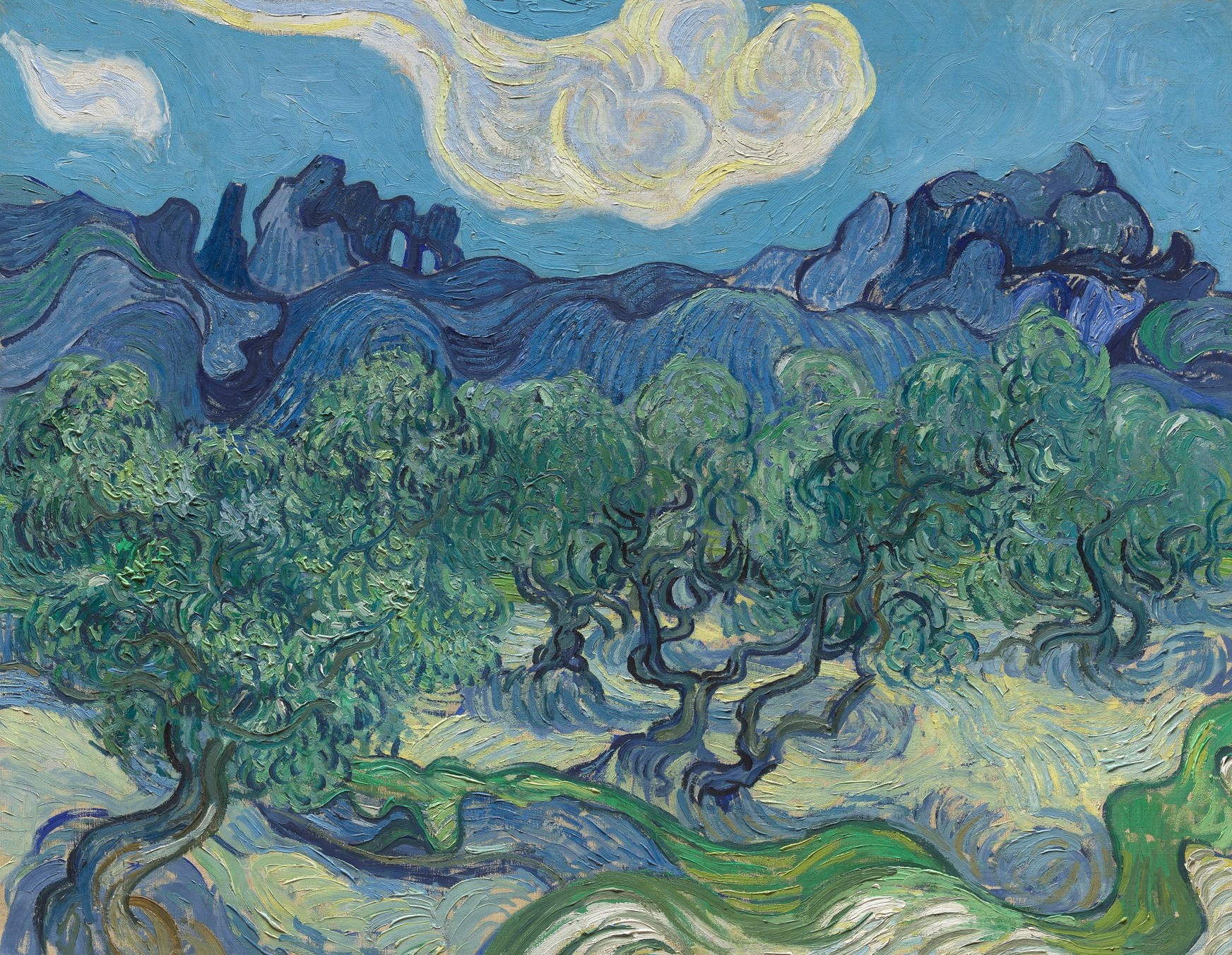 Vincent Van Gogh, Olive trees with the Alpilles in the Background, 1889©The Museum of Mondern Art, New York, Mrs John Hay Whitney Bequest